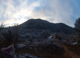 Bajas temperaturas y nevadas afectan a Guanajuato; activan refugios temporales