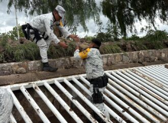 Guardia Nacional y Ejército Mexicano Implementan Plan DN-III en Ocampo Guanajuato, tras Inundación