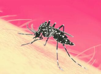 Mantiene Irapuato baja incidencia de dengue; autoridades piden no bajar la guardia