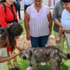 Irapuatenses podrán atender a sus mascotas en hospital especializado de León