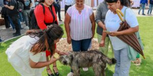 Irapuatenses podrán atender a sus mascotas en hospital especializado de León
