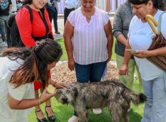 Irapuatenses podrán atender a sus mascotas en hospital especializado de León