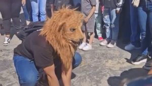 Llega un “Therian” a la reunión en León, Guanajuato