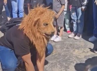 Llega un “Therian” a la reunión en León, Guanajuato