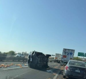 Accidente en la carretera Irapuato–Silao deja decenas de pollos regados sobre la vialidad