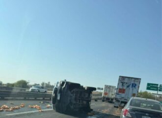 Accidente en la carretera Irapuato–Silao deja decenas de pollos regados sobre la vialidad