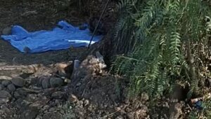 Madres buscadoras de localizan cuerpo en descomposición en Purísima de Abajo, Irapuato