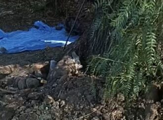 Madres buscadoras de localizan cuerpo en descomposición en Purísima de Abajo, Irapuato