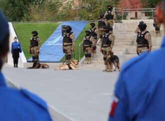 Estos son Balto, Caos, Morgan y Zar, los nuevos binomios caninos de seguridad en Irapuato